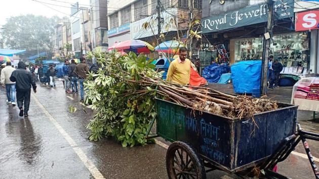 Trees removed from Ajmal Khan Road being taken away in a cart. They will be replanted into flowerpots. (HT Photo) Trees removed from Ajmal Khan Road being taken away in a cart. They will be replanted into flowerpots. (HT Photo)