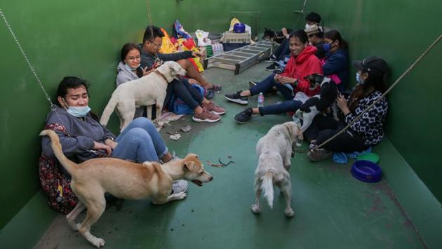 A team of volunteers takes care of dogs and other animals rescued from the homes of residents who have evacuated due to the Volcano in Batangas. The lake inside Taal has dried up, Bornas said, which was to be expected since it began spewing lava fountains a day after it shot giant clouds of ash miles into the air on Sunday. (Eloisa Lopez / REUTERS) A team of volunteers takes care of dogs and other animals rescued from the homes of residents who have evacuated due to the Volcano in Batangas. The lake inside Taal has dried up, Bornas said, which was to be expected since it began spewing lava fountains a day after it shot giant clouds of ash miles into the air on Sunday. (Eloisa Lopez / REUTERS)