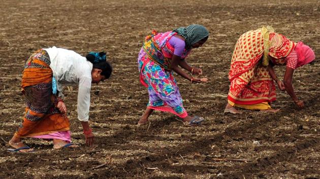 The Act imposes restrictions on the agricultural economy by limiting quantities traders can buy from farmers and hold as stock. (ANI Photo)