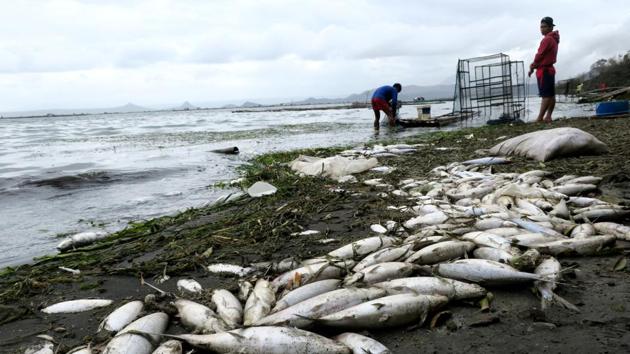 Fishermen catch fish from a lake surrounding the erupting Taal Volcano in Talisay. Some residents took advantage of what they perceived as a lull in the activity of Taal, one of country’s most active and deadliest volcanoes, to return home even though a 14km exclusion zone remained in place. (Jerome Morales / REUTERS) Fishermen catch fish from a lake surrounding the erupting Taal Volcano in Talisay. Some residents took advantage of what they perceived as a lull in the activity of Taal, one of country’s most active and deadliest volcanoes, to return home even though a 14km exclusion zone remained in place. (Jerome Morales / REUTERS)