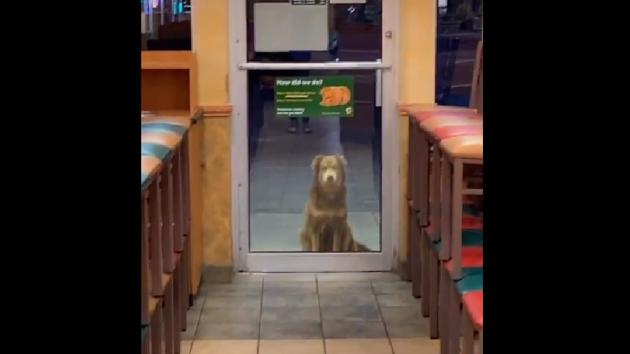 ‘Subway Sally’ first came to light when Giovanni Luhman, an employee of the eatery. (Tiktok/@kxnuko) ‘Subway Sally’ first came to light when Giovanni Luhman, an employee of the eatery. (Tiktok/@kxnuko)