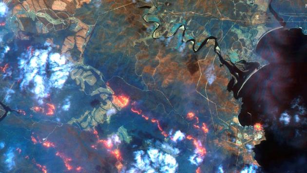A satellite image shows fires near Eden, New South Wales, Australia. (Maxar Technologies/REUTERS) A satellite image shows fires near Eden, New South Wales, Australia. (Maxar Technologies/REUTERS)
