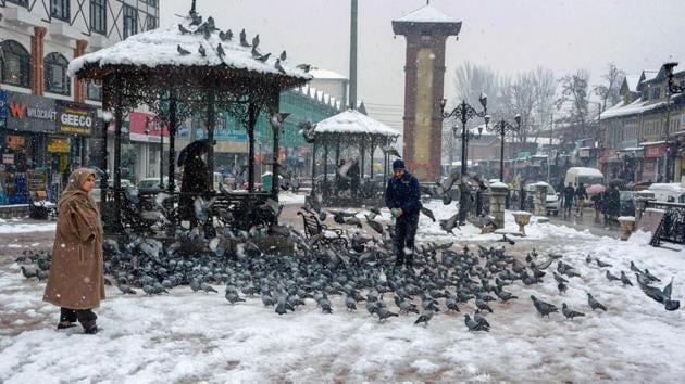 A man feeds pigeons during heavy snowfall in Srinagar.(PTI)