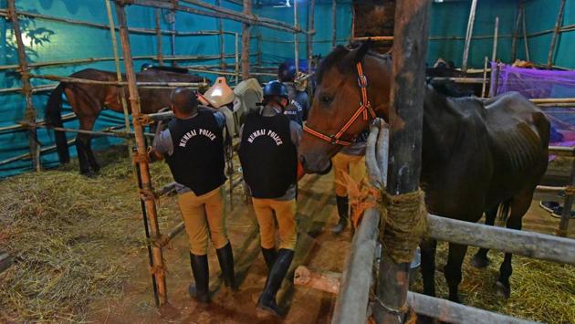 The mounted police unit, which would patrol the streets of the bustling metropolis, was disbanded in 1932 due to growing vehicular traffic. Deshmukh said, “Horse-mounted police will help in crowd management, especially during protests and managing large gatherings.” (Vijayanand Gupta / HT Photo) The mounted police unit, which would patrol the streets of the bustling metropolis, was disbanded in 1932 due to growing vehicular traffic. Deshmukh said, “Horse-mounted police will help in crowd management, especially during protests and managing large gatherings.” (Vijayanand Gupta / HT Photo)