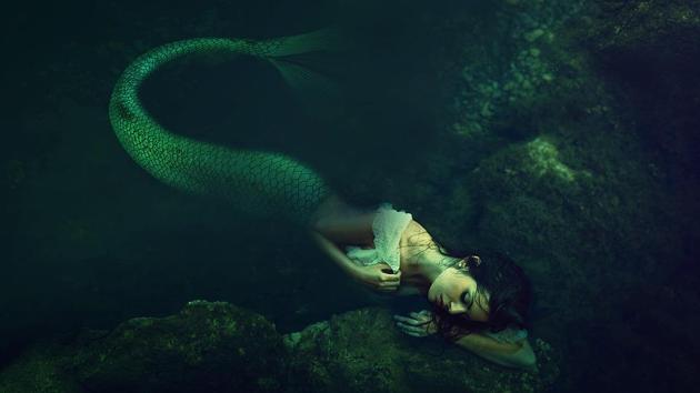 Representational Image(PIXABAY)