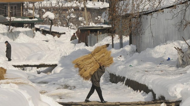 A man carries hay on his back as he walks on a wooden bridge in Shopian, South Kashmir.((Waseem Andrabi / Hindustan Times))