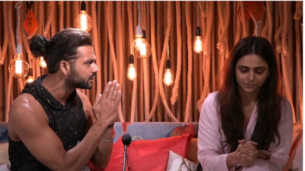 Bigg Boss 13: Former couple Vishal Aditya Singh and Madhurima Tuli had frequent fights on the show.