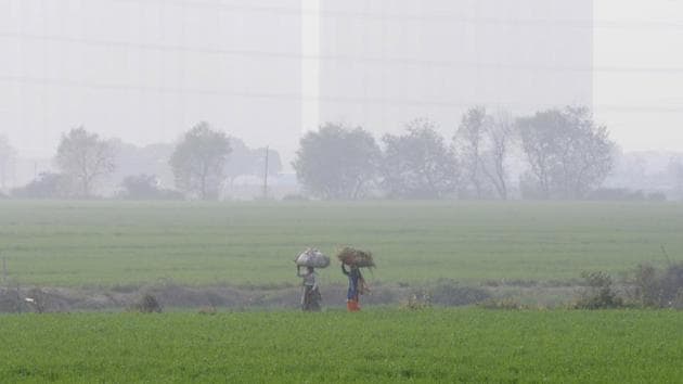 Farmers on way back to home after harvesting in field, in Greater Noida, India.(Sunil Ghosh / Hindustan Times)