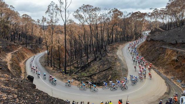 The peloton ride through fire ravaged Fox Creek Road near Cudlee Creek during stage three of the Tour Down Under UCI World Tour cycling event through the Adelaide Hills, South Australia. (Brenton Edwards / AFP) The peloton ride through fire ravaged Fox Creek Road near Cudlee Creek during stage three of the Tour Down Under UCI World Tour cycling event through the Adelaide Hills, South Australia. (Brenton Edwards / AFP)