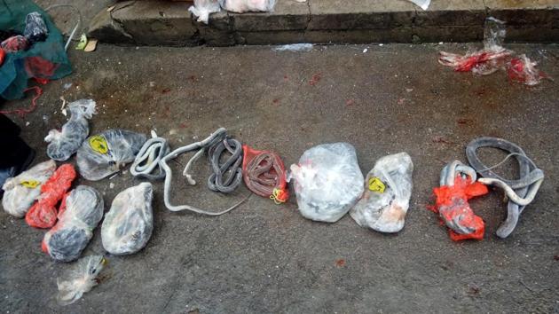Snakes and other items seized from a store suspected of selling trafficked wildlife seen in Anji city of China’s Zhejiang Province. The outbreak of the virus is linked to a wildlife market in central China and is prompting renewed calls for enforcement of laws against the trade in and consumption of exotic species. (Anti-Poaching Special Squad via AP)