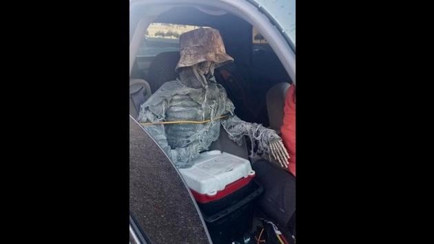 The skeleton was tied to the seat with rope and had a hat on to make it look more believable.(Twitter/@Arizona_DPS) The skeleton was tied to the seat with rope and had a hat on to make it look more believable.(Twitter/@Arizona_DPS)