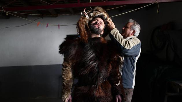A man is dressed as "Las Carantonas" before taking part in a festival in Acehuche, Spain. The Carantonas involves men pulling on animal hides that make them look like Chewbacca. At the Carantoñas festival in Acehuche, men are helped to pull on hairy, bulky costumes and scary masks before they walk down streets of whitewashed houses looking like wild beasts ("carantoñas"). Women parade in colourful embroidered shawls and skirts as music plays. (Manu Fernandez / AP)