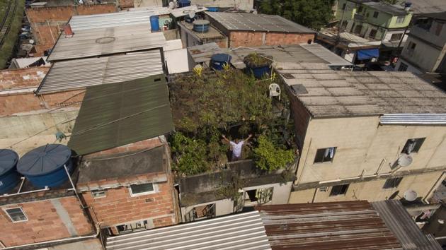 The nascent greening from such projects is a break with Rio’s recent past, according to Washington Fajardo, a visiting housing policy researcher at Harvard University. “To get a tree to grow in an urban environment requires irrigation, because pollution makes it much harder for a sapling to reach adulthood,” Fajardo, the prior mayor’s special advisor on urban issues, said by phone from Cambridge, Massachusetts. (Renato Spyrro / AP) The nascent greening from such projects is a break with Rio’s recent past, according to Washington Fajardo, a visiting housing policy researcher at Harvard University. “To get a tree to grow in an urban environment requires irrigation, because pollution makes it much harder for a sapling to reach adulthood,” Fajardo, the prior mayor’s special advisor on urban issues, said by phone from Cambridge, Massachusetts. (Renato Spyrro / AP)