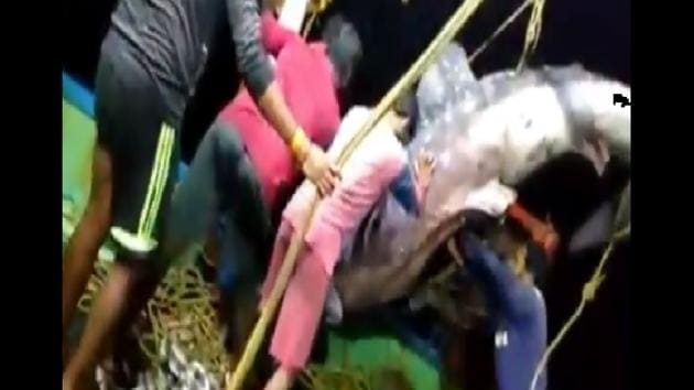 One of the fishermen is seen getting hit by the shark’s tail fin.(Twitter) One of the fishermen is seen getting hit by the shark’s tail fin.(Twitter)