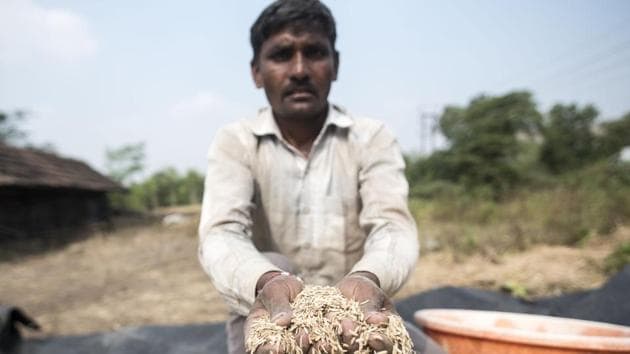 Food Corp had to borrow from the market, pushing its overall external borrowings to 2.19 trillion rupees ($30.81 billion) as of Oct. 31, 2019, according to disclosures made in Parliament.(Satyabrata Tripathy/HT Photo) Food Corp had to borrow from the market, pushing its overall external borrowings to 2.19 trillion rupees ($30.81 billion) as of Oct. 31, 2019, according to disclosures made in Parliament.(Satyabrata Tripathy/HT Photo)