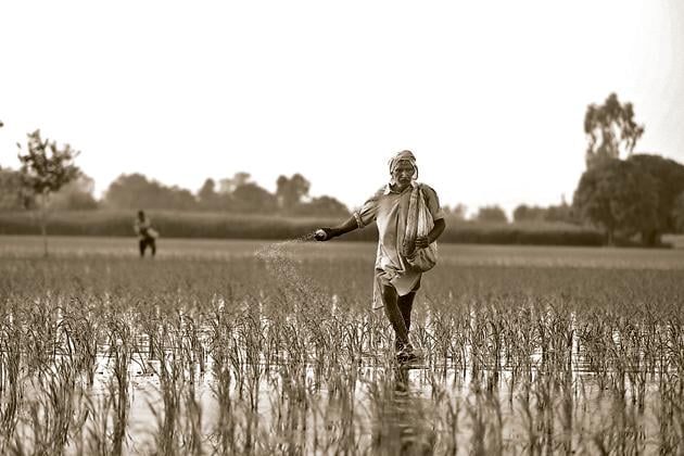 The decline in consumption demand, especially in rural India, is a matter of pressing concern. But the budget may have made the problem worse with cuts in allocation. Instead, it should have streamlined public finance management systems and re-prioritised expenditure(Getty Images/iStockphoto)