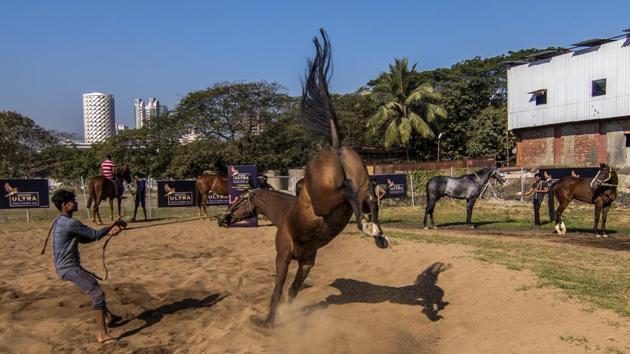 A horse takes a sand bath in mud pit after rigorous training ahead of Kingfisher Ultra Indian Derby 2020 at Mahalaxmi Race Course in Mumbai, Maharashtra. (Pratik Chorge / HT Photo)