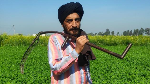 Farmer Jasbir Singh Ramba from Karnal, Haryana, feels that despite the announcement of 16 points to boost farmers’ income, the budget has dismayed the farming community. There was no mention of immediate relief to take farmers out of their debts. The 16-point plan may help farmers in the longer term but wouldn’t ensure that farmers get better prices. The allocation of Rs 1.60 lakh crore for agriculture, irrigation and allied activities is not sufficient. (HT Photo)