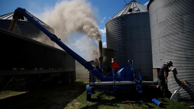 Billy Danner, a farmer, moves soy beans from a grain elevator to a truck to be transported, in the town of West Liberty. “It has strengthened the town to have two cultures living and working together, with mutual respect, and it opens the door to more people moving here,” said Brenda Arthur-Miller, the high school principal in West Liberty and director of the dual language program. (Eric Thayer / REUTERS)