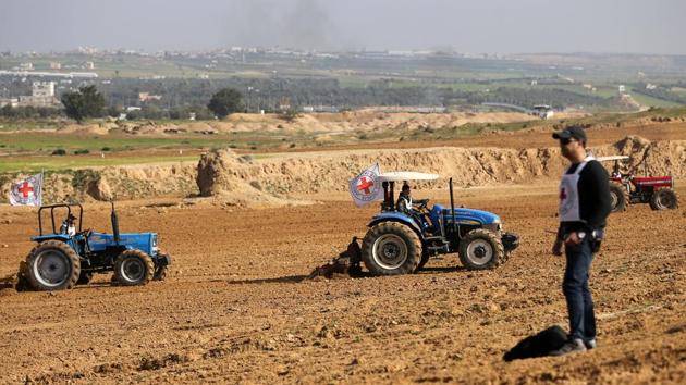 Abu Isaeed was one of 90 farmers whose lands were being rehabilitated by ICRC in the project’s third phase which began last August and will end with the harvest in May. In all, the ICRC said some 580 farmers have regained access to their land. (Ibraheem Abu Mustafa / REUTERS)