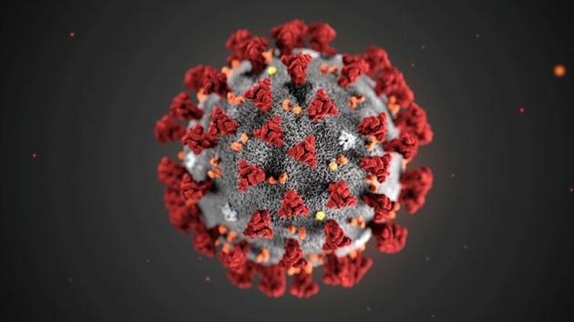 The ultrastructural morphology exhibited by the 2019 Novel Coronavirus (2019-nCoV), which was identified as the cause of an outbreak of respiratory illness first detected in Wuhan, China, is seen in an illustration released by the Centers for Disease Control and Prevention (CDC) in Atlanta, Georgia, U.S. (via REUTERS) The ultrastructural morphology exhibited by the 2019 Novel Coronavirus (2019-nCoV), which was identified as the cause of an outbreak of respiratory illness first detected in Wuhan, China, is seen in an illustration released by the Centers for Disease Control and Prevention (CDC) in Atlanta, Georgia, U.S. (via REUTERS)