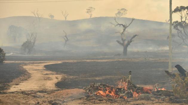 A bushfire burns near the town of Bumbalong, south of Canberra, Australia. A fire that threatened Canberra’s southern suburbs was downgraded early on February 2, allowing firefighters to strengthen containment lines and protect residents. (Peter Parks / AFP)