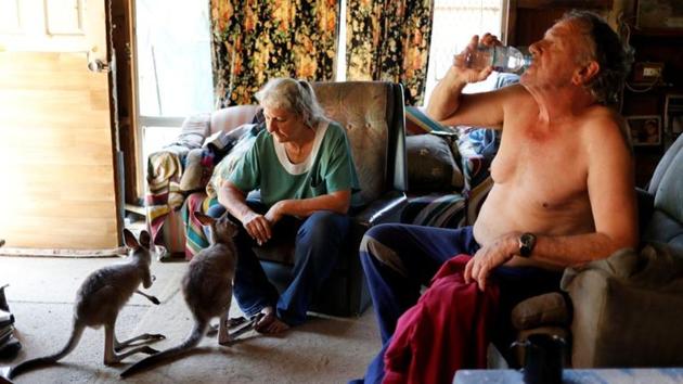 While Wilson and Willis usually care for joeys rescued after their mothers are struck by vehicles, they are now hosting an increasing number of fire orphans. Willis said the joeys, which are fed a special milk formula every two to four hours just like their human counterparts, will eventually be released back into the wild. (Jorge Silva / REUTERS)