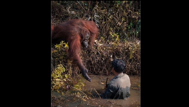 This picture was reportedly captured by photographer Anil Prabhakar. (Instagram/@anil_t_prabhakar) This picture was reportedly captured by photographer Anil Prabhakar. (Instagram/@anil_t_prabhakar)