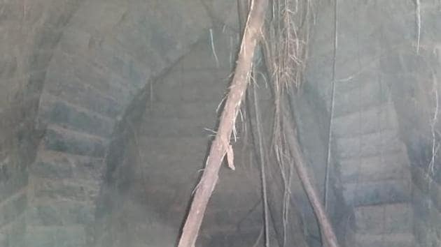 The discovery triggered much curiosity among the villagers who thought that the tunnel could lead to a secret chamber where treasure could be hidden. (HT PHOTO.) The discovery triggered much curiosity among the villagers who thought that the tunnel could lead to a secret chamber where treasure could be hidden. (HT PHOTO.)