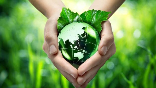 As we sit in the 6th extinction, on a heating planet, we must lean back on the founding values of modern India. (File photo for representation) As we sit in the 6th extinction, on a heating planet, we must lean back on the founding values of modern India. (File photo for representation)
