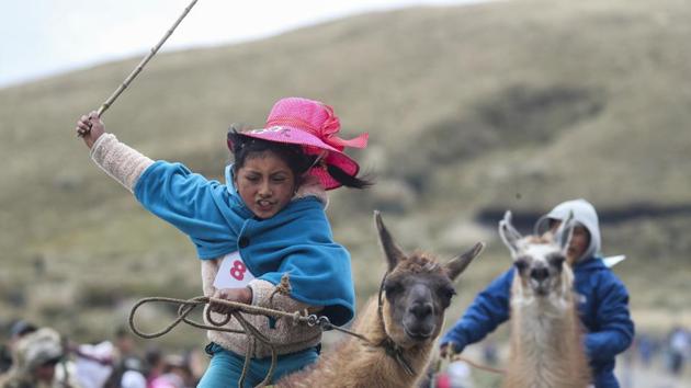 Milena Jami whips her llama to win the first place in the Llama races for children of ages seven and eight. Nine-year-old Ibeth Santafé, three times a winner in past races, was sombre after finishing third. But she came out a winner in a llama-training contest, showing mastery over her beast. (Dolores Ochoa / AP)