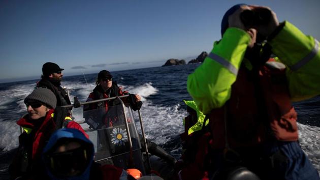 Greenpeace activist Usnea Granger, 36, drives a boat near Quentin Point, Anvers Island. Visiting Antarctica was “a dream come true” for Granger, who worked as a deck hand on the expedition. “I think climate global chaos is wreaking havoc everywhere and I don’t imagine Antarctica will be any different from that,” she told Reuters. “It feels like a privilege to see it now before it starts to change anymore.” (Ueslei Marcelino / REUTERS)