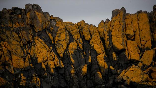 Rocky peaks on Snow Island. “I think we stand to lose much of what we love... like the penguins from Elephant Island, but I think in the end it’s what kind of world do we want to live in?” Frida Bengtsson, Greenpeace Oceans campaigner, told Reuters off Anvers Island. “Our oceans are incredibly important to regulate our global climate,” she further added. (Ueslei Marcelino / REUTERS)