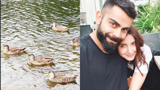 Virat Kohli and Anushka Sharma have shared pictures from New Zealand on Instagram.