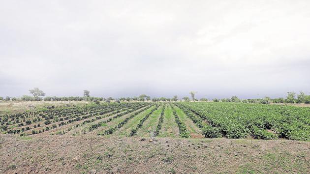 Of the 2,000 hectares required, 45 hectares is in the possession of various government agencies, while the rest is all privately owned. (HT/PHOTO) Of the 2,000 hectares required, 45 hectares is in the possession of various government agencies, while the rest is all privately owned. (HT/PHOTO)