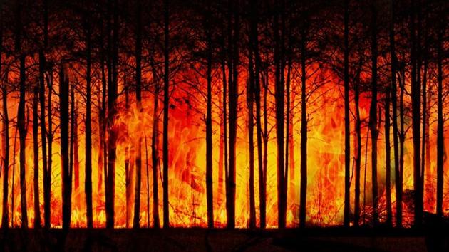 The risks faced from climate change remains unaccounted for in financial markets. (UNSPLASH) The risks faced from climate change remains unaccounted for in financial markets. (UNSPLASH)