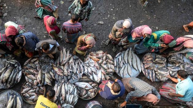 Fishmongers prepare fish for sale at a wholesale fish market. Harun ur Rashid, 21, whose father was killed by a tiger, said he was now a fisherman, despite coming from generations of honey-hunters. “My mother doesn’t want me to end up like my father. And I want to stay alive and take care of her because she has suffered a lot and endured enough abuses after my father’s death,” he told AFP. (Munir uz Zaman / AFP) Fishmongers prepare fish for sale at a wholesale fish market. Harun ur Rashid, 21, whose father was killed by a tiger, said he was now a fisherman, despite coming from generations of honey-hunters. “My mother doesn’t want me to end up like my father. And I want to stay alive and take care of her because she has suffered a lot and endured enough abuses after my father’s death,” he told AFP. (Munir uz Zaman / AFP)