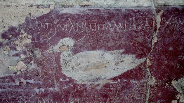 A Latin verse inscribed next to an incision of ducks reads "Lovers like bees live a life as sweet as honey”, inside the House of Lovers. “When you excavate in Pompeii there are always surprises,” the site’s general director Massimo Osanna told reporters Tuesday. (Alessandro Pone/LaPresse via AP)