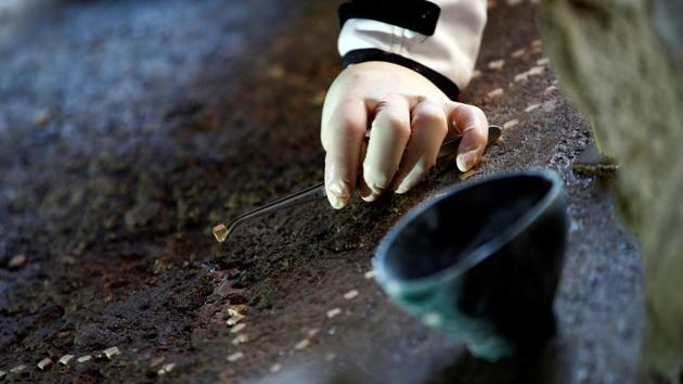 An archaeologist works on a mosaic in the House of Lovers "Casa degli Amanti", one of three restored domus (ancient houses) reopened to the public at the archaeological site of Pompeii, Italy, February 18, 2020. REUTERS/Ciro De Luca (REUTERS)