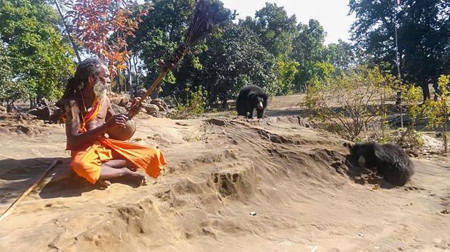 Sitaram, a monk, plays a psalm as sloth-bears gather around him.(PTI)