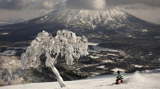 A man snowboards down a slope overlooking Mount Yotei at a ski resort in Niseko, Hokkaido, Japan. “There’s a lot less snow,” said Nguyen Nguyen, a skier visiting from Hong Kong. “This is definitely the worst I’ve ever seen it.” (Jae C. Hong / AP)