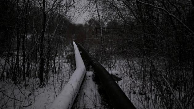 A heated pipe runs through a forest in Omsk. Vergunov used to yearn for a chance to rebuild his life, but since his partner, Alyonka, died two years ago of liver cancer, he has lost the will. They had lived together near the train station. “I get through the day and that’s it,” he said. “If I found a woman like her, I could stop and try to return to society, but I can’t find anyone like her.” (REUTERS)