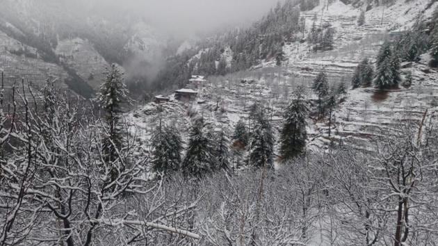Snow covered apple trees and vegetation after fresh snowfall, in Golo village of Kotkhai in Shimla district, Himachal Pradesh. (Deepak Sansta / HT Photo)