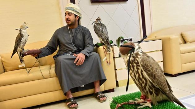 “This has been a hobby of mine since 2007,” the 26-year-old told AFP, gently stroking one of the prized birds of prey, which wear leather hoods to keep them calm and quiet. After waiting in the pristine white-marbled reception area of the animal hospital, the falcons underwent blood tests in order to complete paperwork for the trip. (Guiseppe Cacace / AFP) “This has been a hobby of mine since 2007,” the 26-year-old told AFP, gently stroking one of the prized birds of prey, which wear leather hoods to keep them calm and quiet. After waiting in the pristine white-marbled reception area of the animal hospital, the falcons underwent blood tests in order to complete paperwork for the trip. (Guiseppe Cacace / AFP)