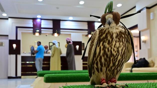 A falcon waits at the reception room of the Abu Dhabi Falcon Hospital. In 2010, UNESCO added falconry to its list of Intangible Cultural Heritage of Humanity. “Here, falcons are not considered birds, they are considered children of the Bedouins because, historically, falcons were used to hunt meat, allowing the Bedouin’s family to survive in this very harsh desert life,” Muller said. (Guiseppe Cacace / AFP) A falcon waits at the reception room of the Abu Dhabi Falcon Hospital. In 2010, UNESCO added falconry to its list of Intangible Cultural Heritage of Humanity. “Here, falcons are not considered birds, they are considered children of the Bedouins because, historically, falcons were used to hunt meat, allowing the Bedouin’s family to survive in this very harsh desert life,” Muller said. (Guiseppe Cacace / AFP)