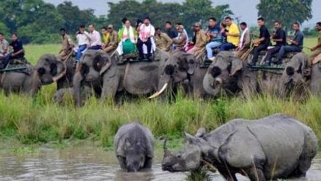 Elephant safaris in Jaldapara National Park were suspended to prevent infection. (Representative photo/PTI) Elephant safaris in Jaldapara National Park were suspended to prevent infection. (Representative photo/PTI)