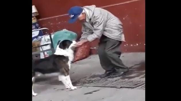The video shows an elderly man feeding water to a thirsty dog.(Twitter/@susantananda3) The video shows an elderly man feeding water to a thirsty dog.(Twitter/@susantananda3)