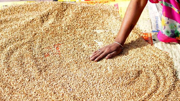 Under the NFSA, 25 kg wheat is given at Rs 2 per kilogram to below poverty line (BPL) families and Rs 35 kg wheat is given under the Antyodaya Anna Yojana. There are 49.7 million beneficiaries under NFSA in Rajasthan. (Sunil Ghosh / Hindustan Times) Under the NFSA, 25 kg wheat is given at Rs 2 per kilogram to below poverty line (BPL) families and Rs 35 kg wheat is given under the Antyodaya Anna Yojana. There are 49.7 million beneficiaries under NFSA in Rajasthan. (Sunil Ghosh / Hindustan Times)