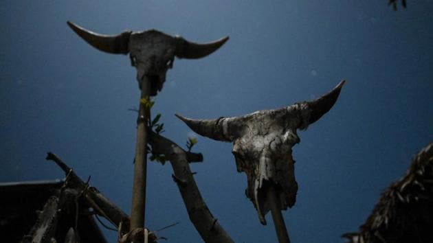 Animal skulls displayed outside a house of a Naga tribesman at a village in Sagaing. Tribes and villages commonly waged war over land, and there are reports of warriors hacking off their enemies’ heads for trophies as late as the 1960s. To celebrate, a thorn would be used to drive tree sap under the warrior’s skin to ink a permanent reminder of his headhunting prowess—and his family would often follow suit. (Ye Aung Thu / AFP)