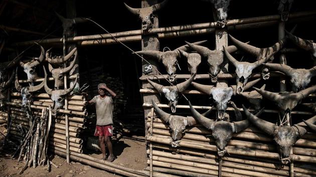 A Naga tribesman stands in front of his house decorated with skeletons of buffalo heads. American anthropologist and author Lars Krutak has travelled the world studying tribal tattoos. “What strikes me as unique is the diversity of Naga tattooing patterns,” he said, adding there are more than 20 tribes that tattoo across both sides of the border. In some cases, people believed they would need the designs to transition to the afterlife, he explained. (Ye Aung Thu / AFP)